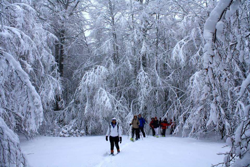 Prima Neve Sul Pollino
